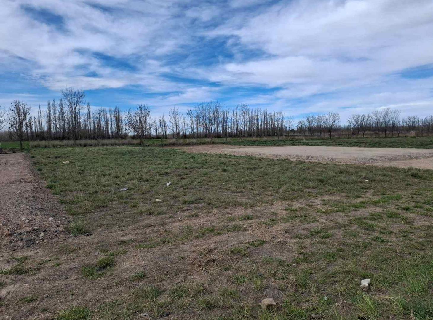 Foto de Venta de terreno sobre el paseo del Bicentenario, imagen 2