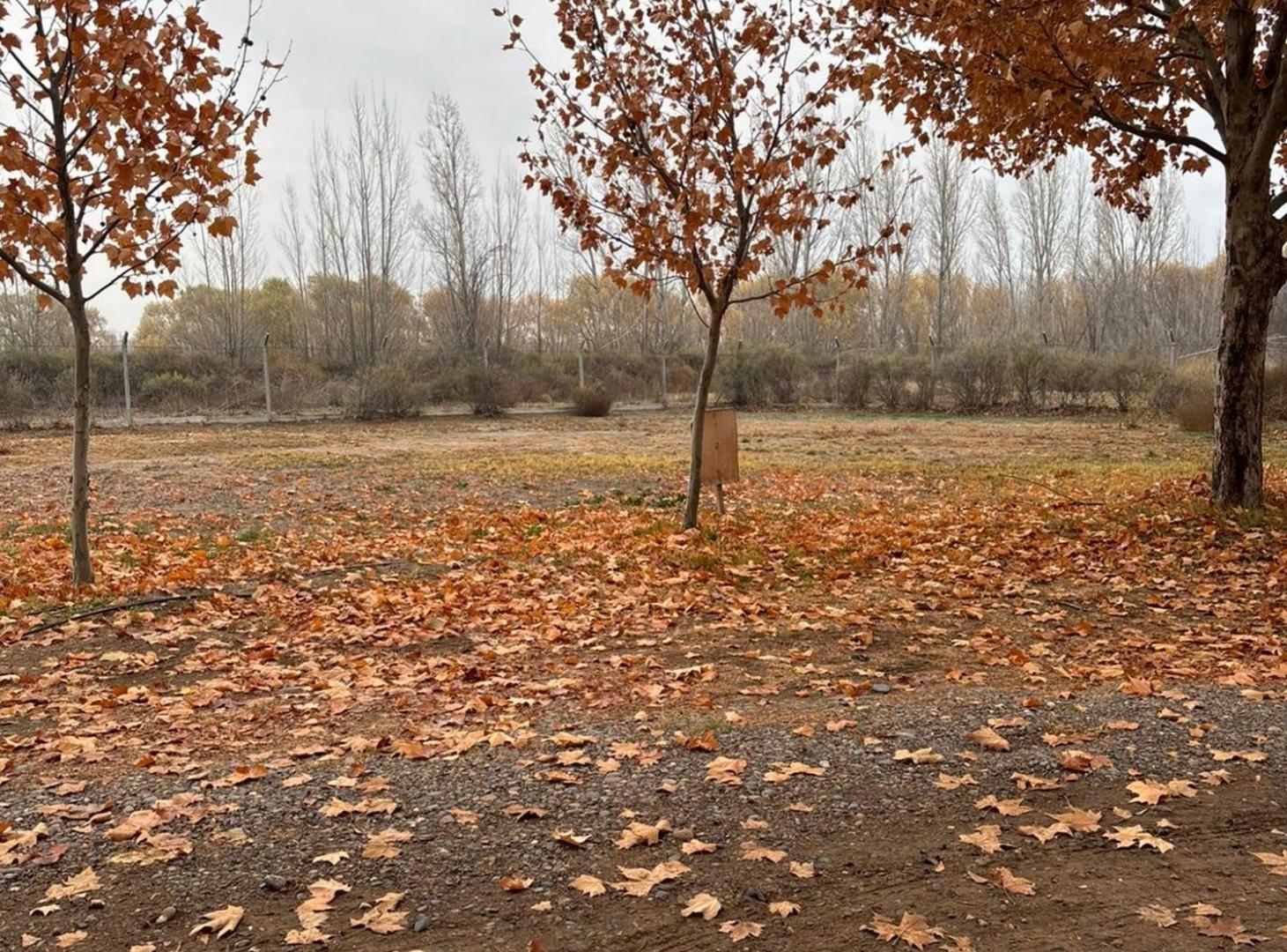 Foto de VENTA LOTE BARRIO PRIVADO GRAND PARC, imagen 4