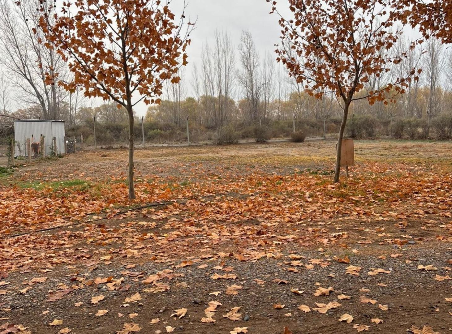 Foto de VENTA LOTE BARRIO PRIVADO GRAND PARC, imagen 3