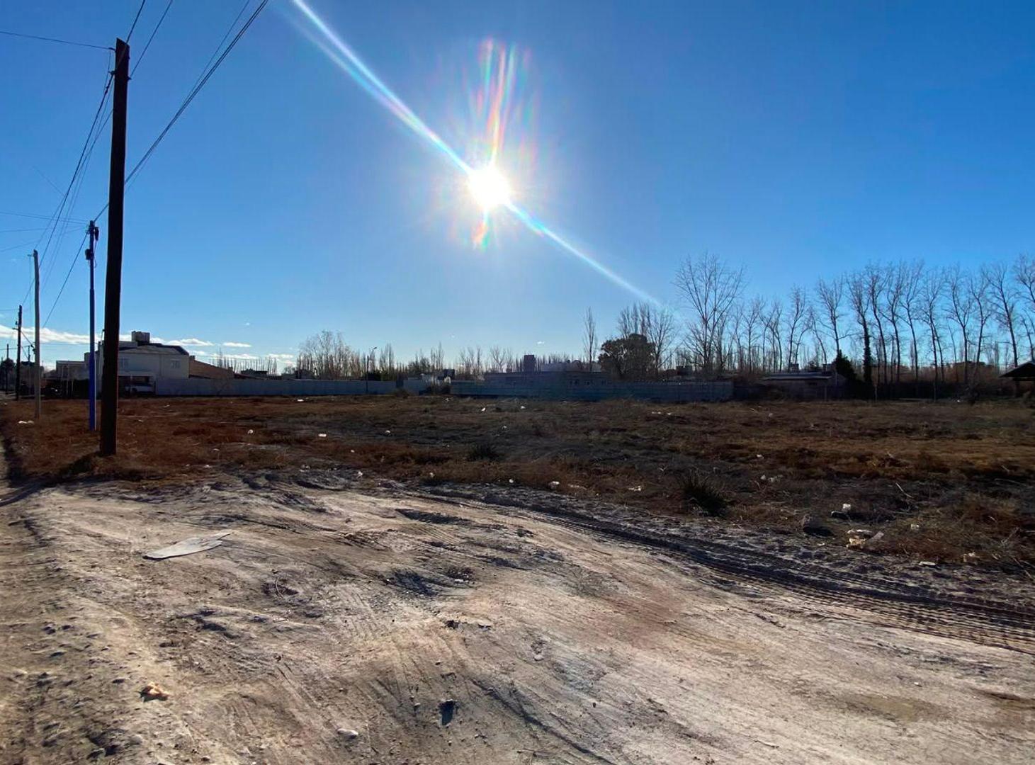 Foto de LOTE EN VENTA CALLE LOS ALAMOS, imagen 1