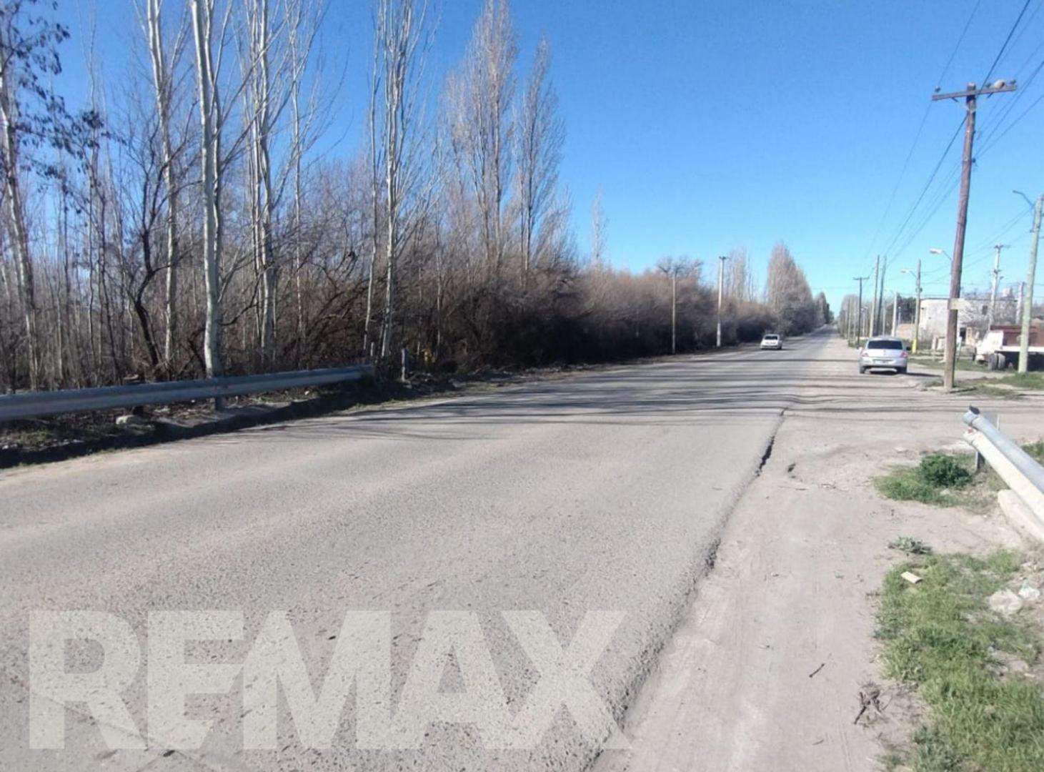 Foto de LOTE EN VENTA GENERAL ROCA, imagen 5