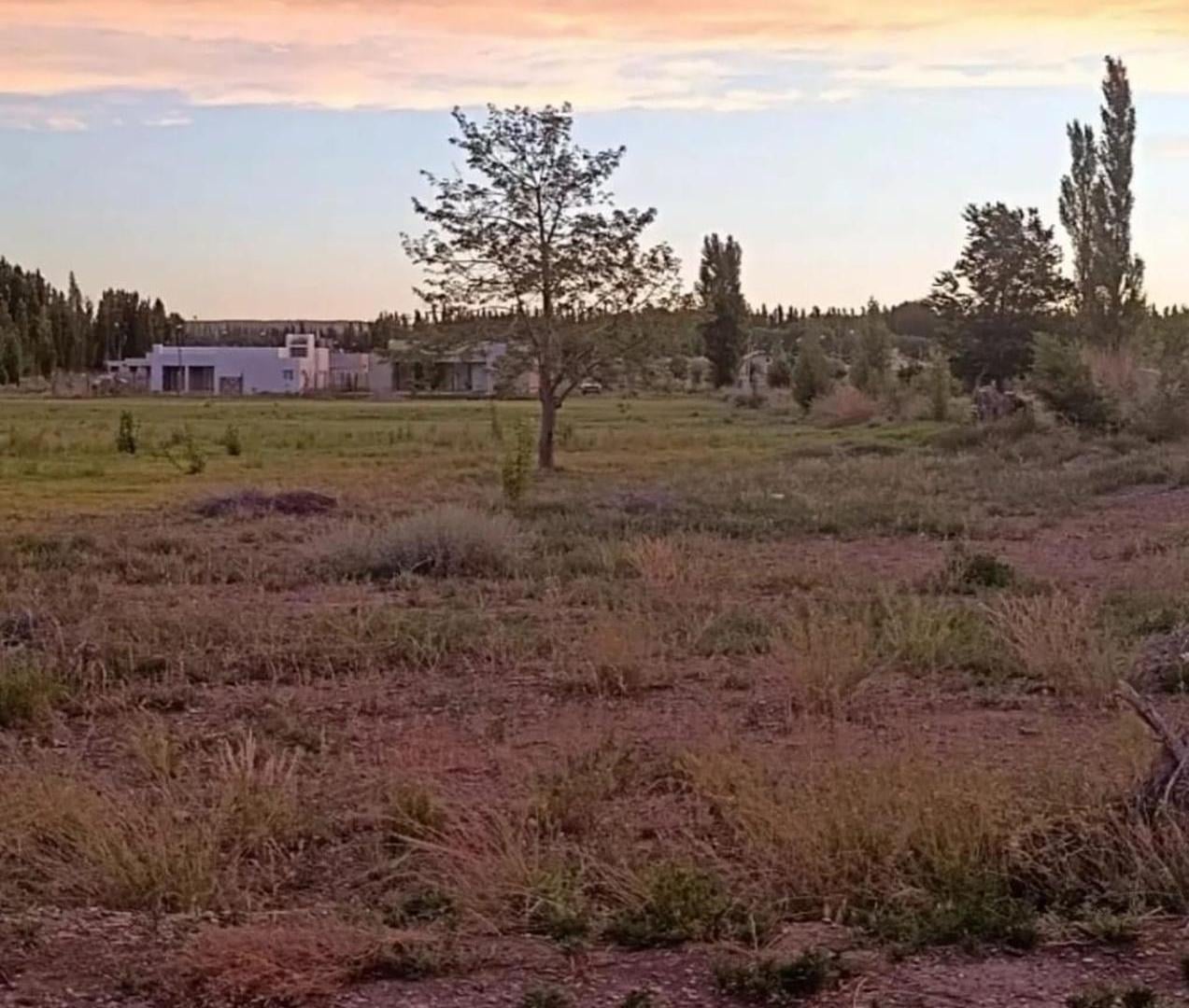 Foto de LOTE EN VENTA – VITERBORI AL 2500 | GENERAL ROCA, imagen 1