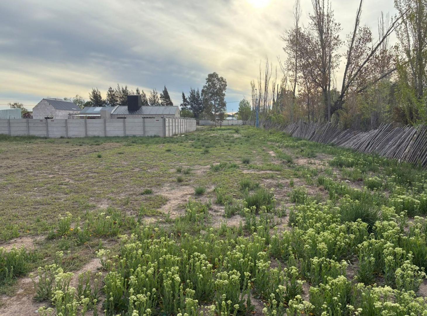Foto de TERRENO RESIDENCIAL EXCLUSIVO 360M2 GENERAL ROCA, imagen 3