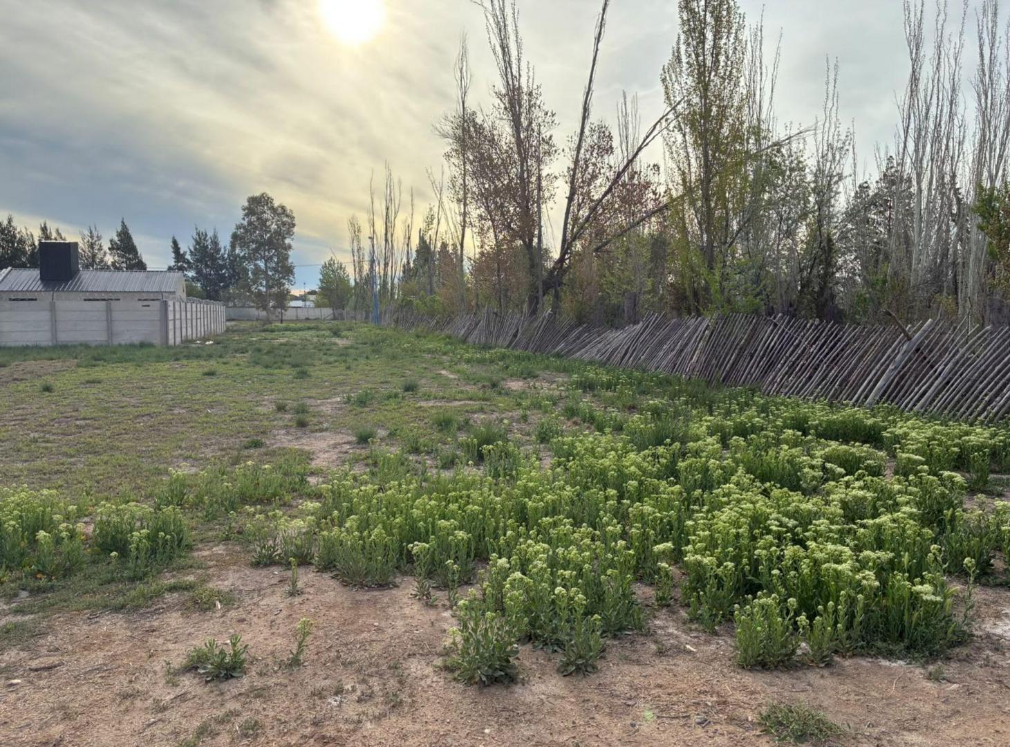Foto de TERRENO RESIDENCIAL EXCLUSIVO 360M2 GENERAL ROCA, imagen 4