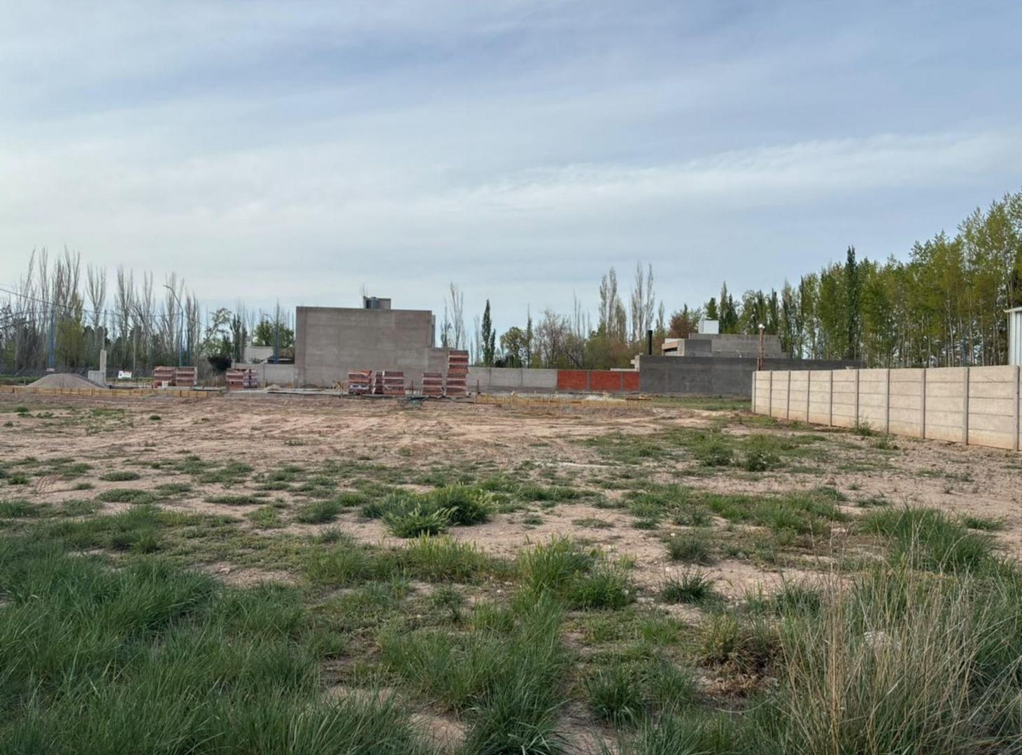 Foto de LOTE COMERCIAL Y RESIDENCIAL 446M2 EN GENERAL ROCA, imagen 1