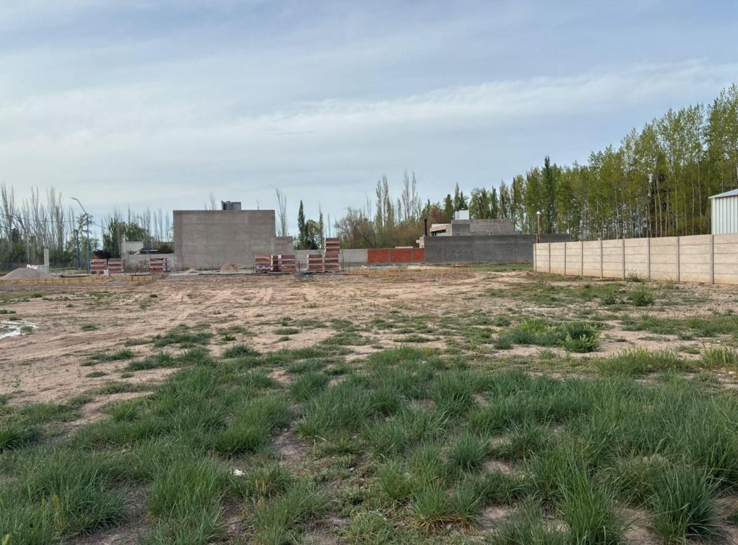 Foto de LOTE COMERCIAL Y RESIDENCIAL 446M2 EN GENERAL ROCA, imagen 3
