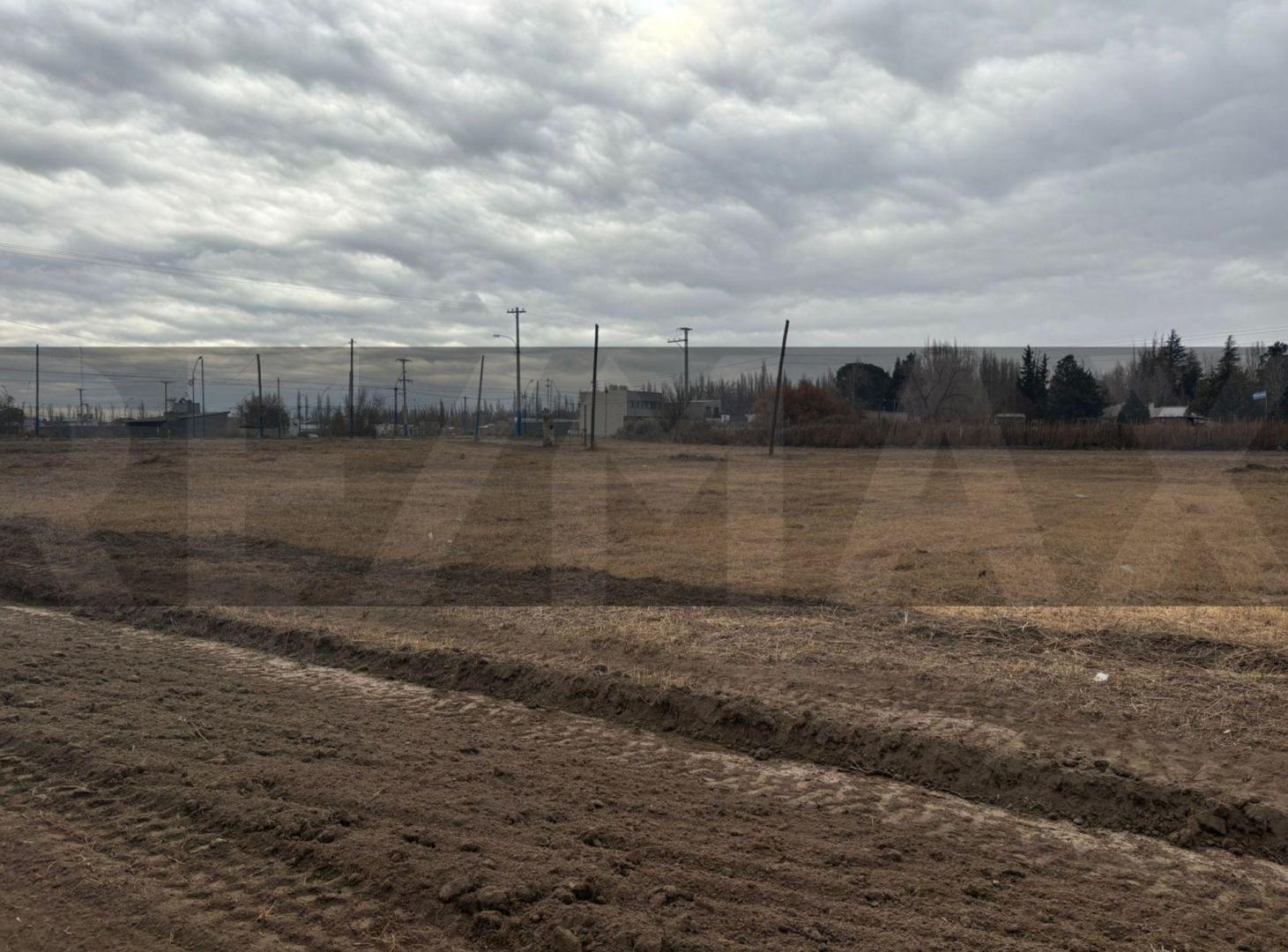 Foto de TERRENO EN VENTA EN LOTEO VINTER, GENERAL ROCA, imagen 5
