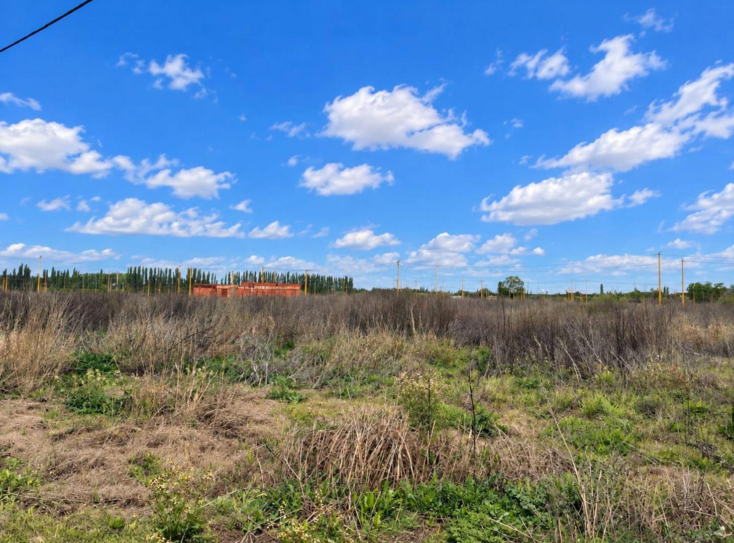 Foto de TERRENO EN VENTA EN LOTEO LA RUFINA I EN CERVANTES, imagen 4