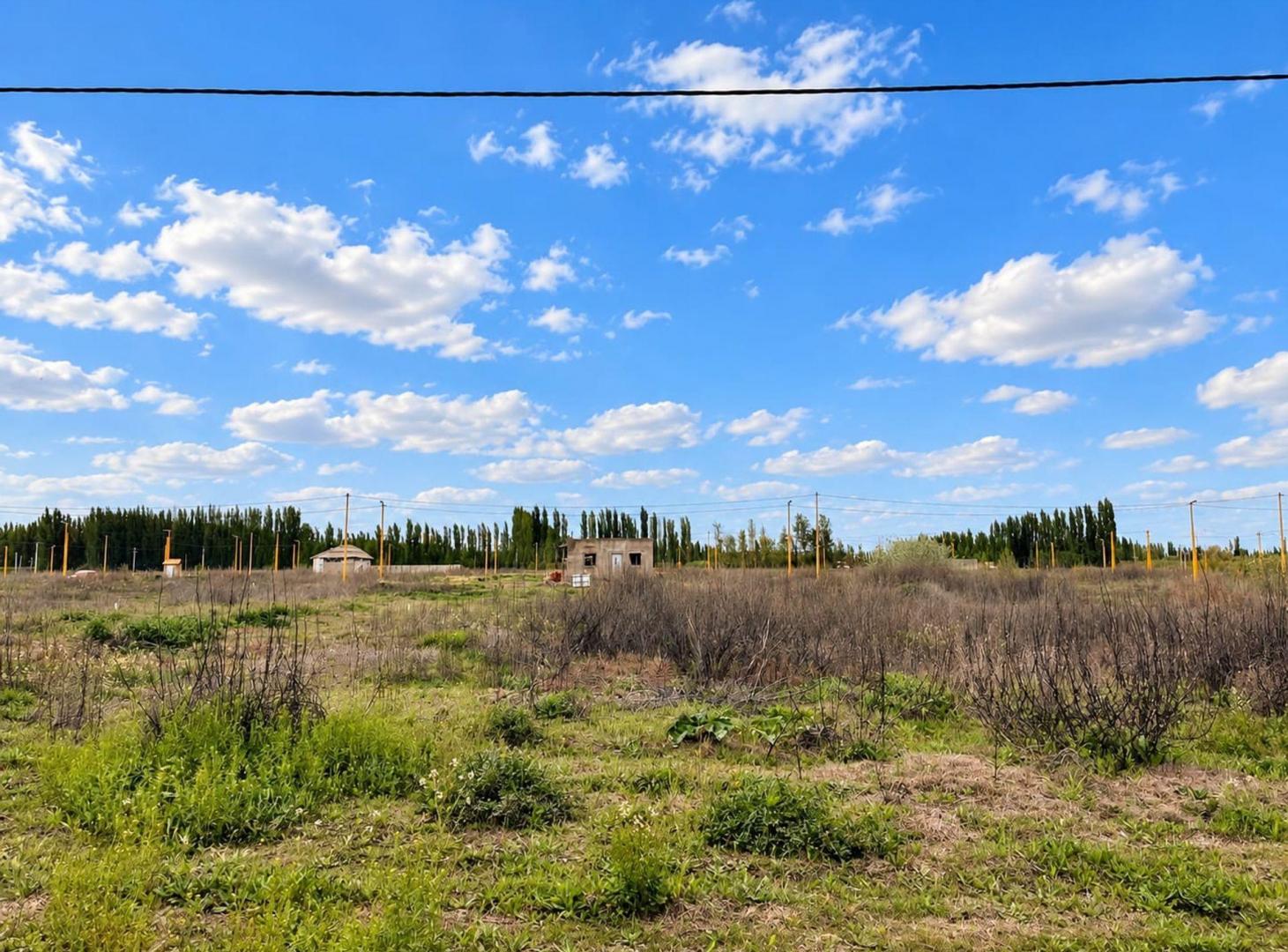 Foto de TERRENO EN VENTA EN LOTEO LA RUFINA I EN CERVANTES, imagen 2