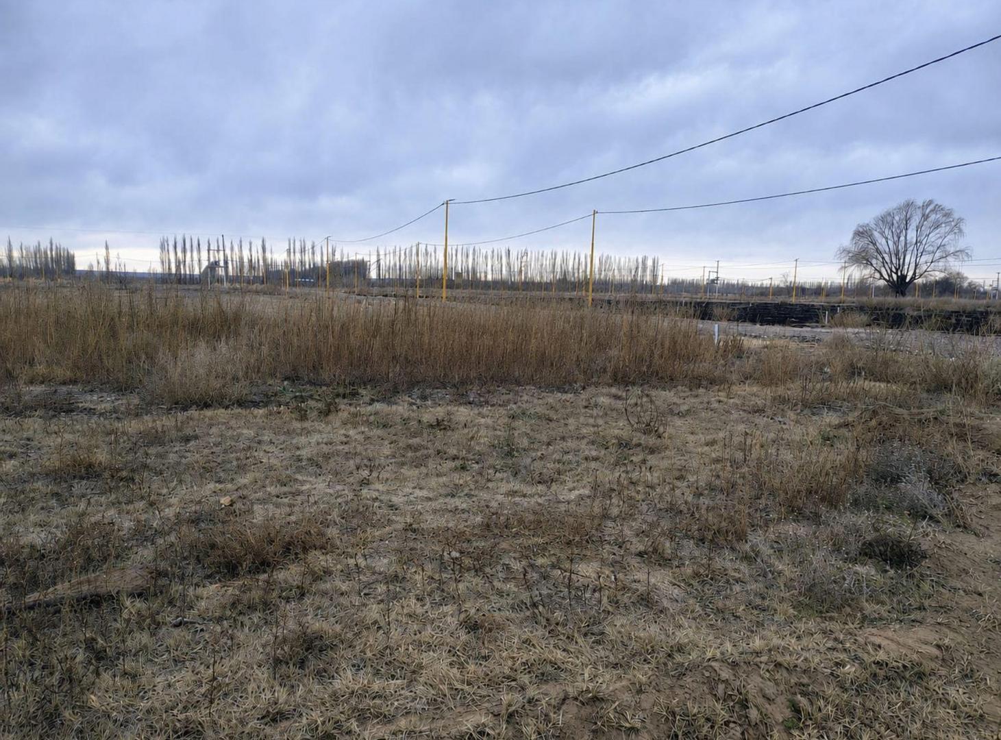 Foto de TERRENO EN VENTA - LOTEO LA RUFINA II - CERVANTES, imagen 5