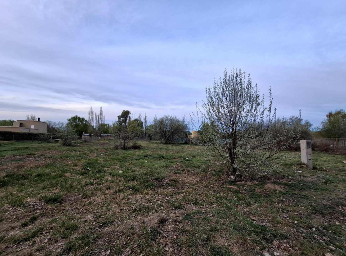 Foto de Excelente terrenos Lote los 40 Gral. Roca, imagen 1