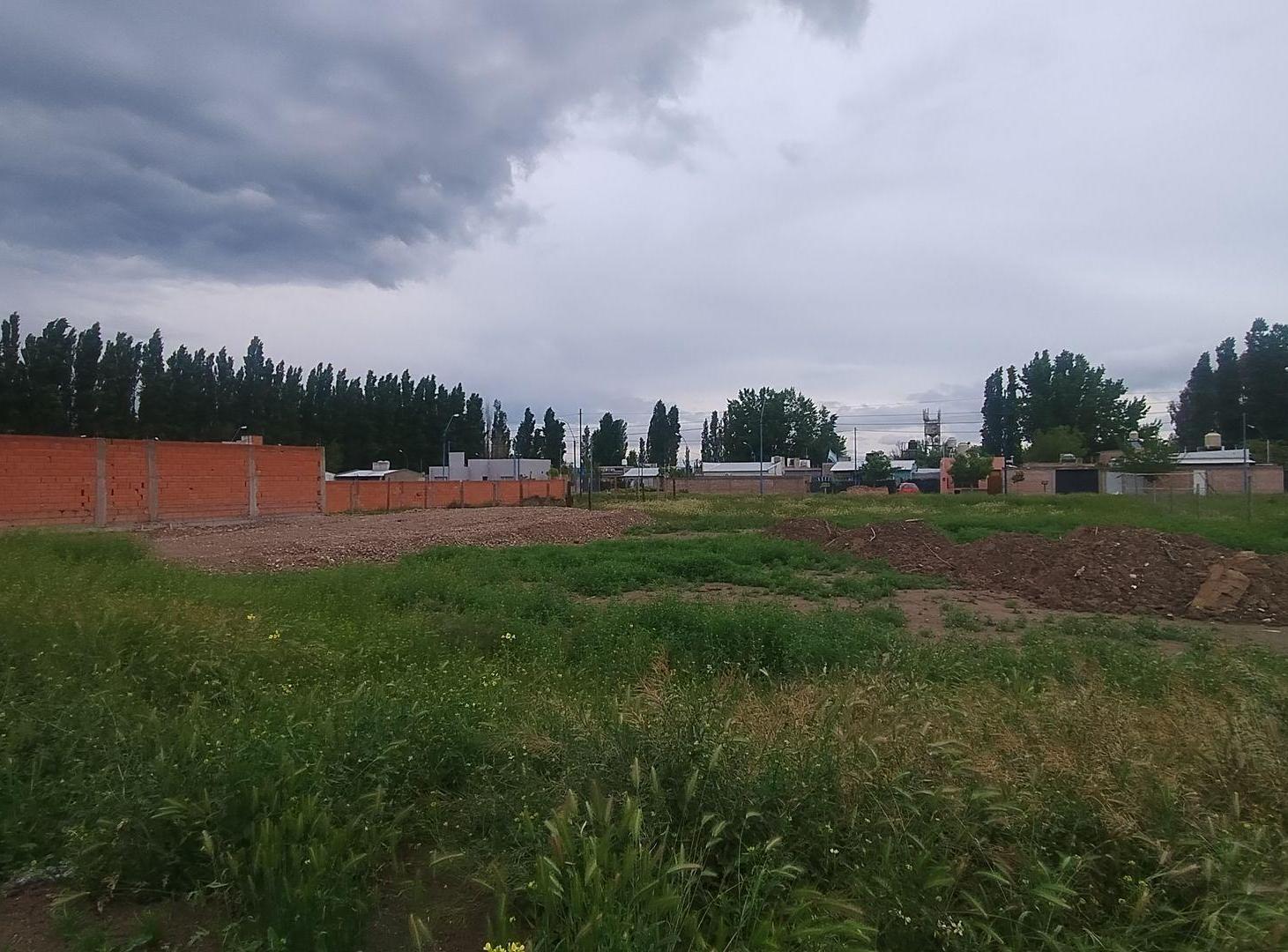 Foto de TERRENO EN VENTA BARRIO EL PALMAR, imagen 3