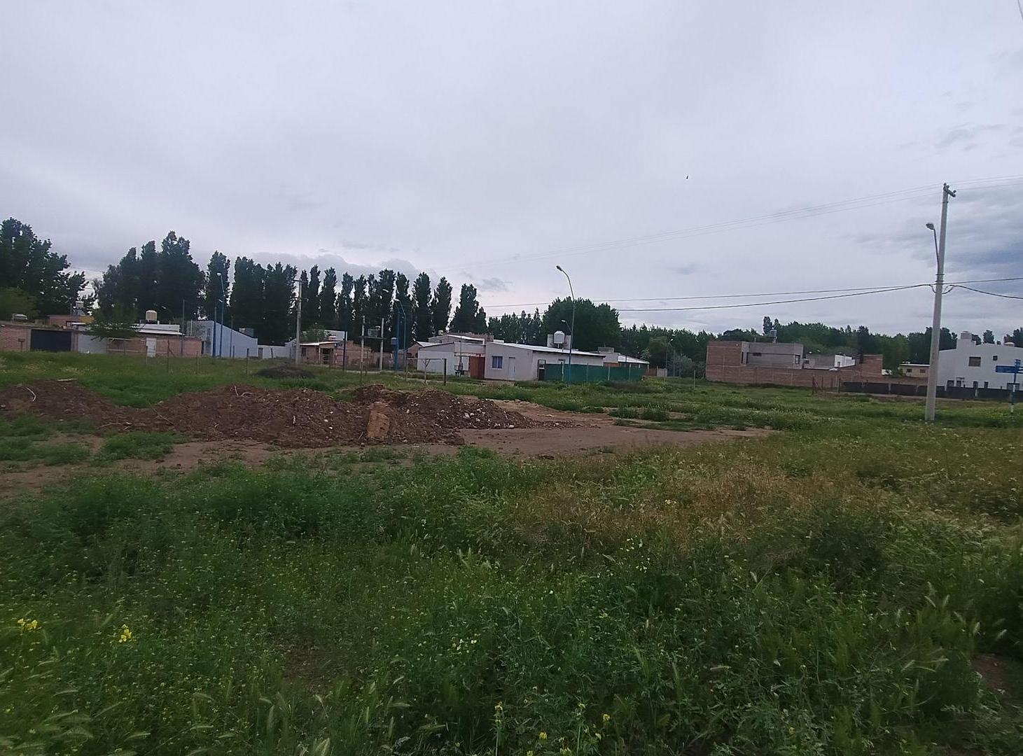 Foto de TERRENO EN VENTA BARRIO EL PALMAR, imagen 5