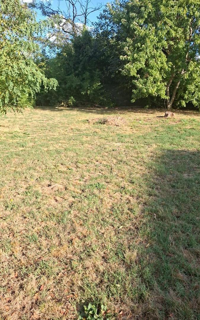 Foto de OPORTUNIDAD LOTE EN SOLARES DE ZAPIOLA, imagen 3