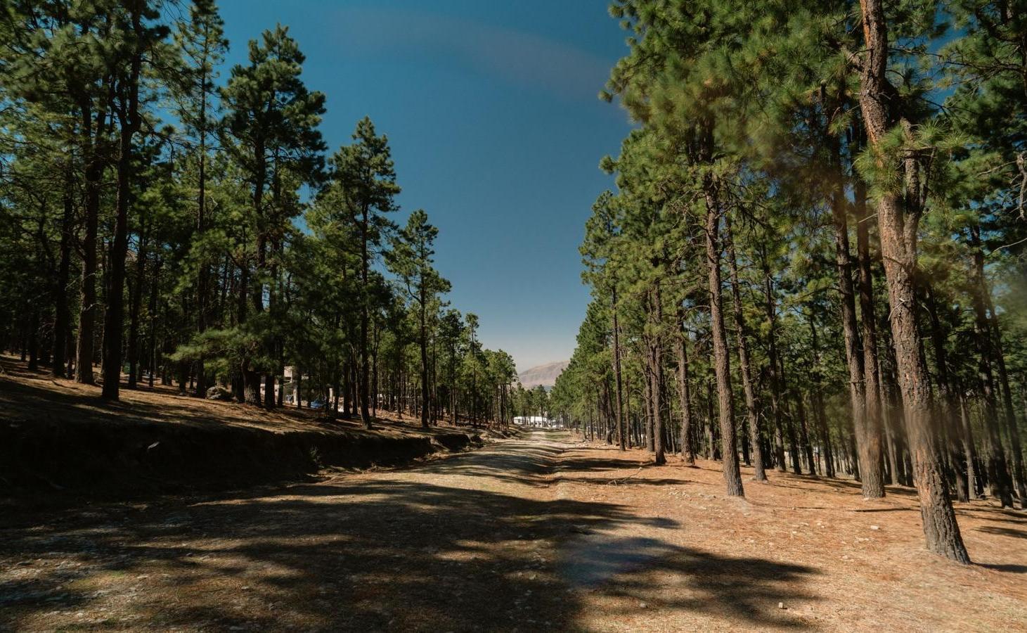 Foto de Terreno en Venta, Pinar De Tafí del Valle - La Quebradita, imagen 3