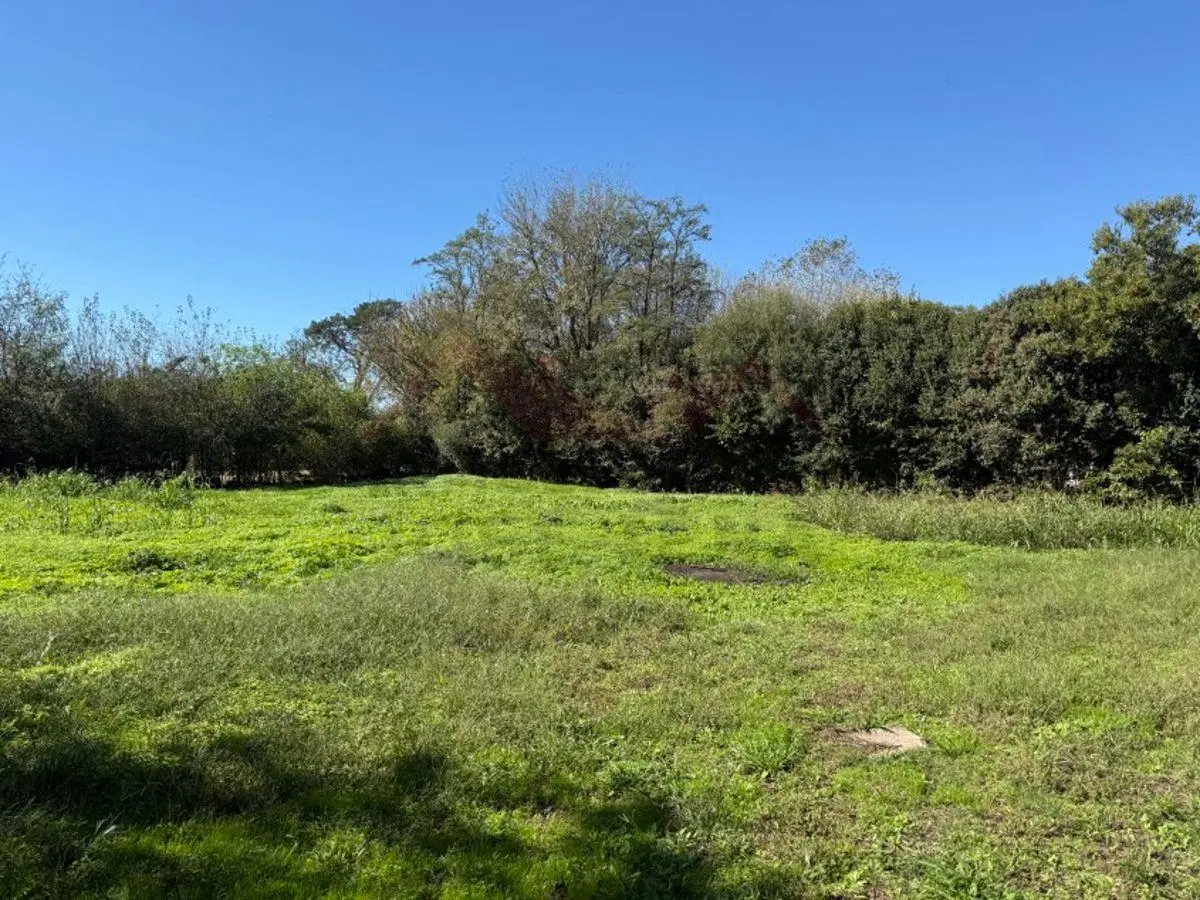 Lotes de 10 x 61 (616 m2) C/U. Ubicados en Calle 136 e/ Dorrego y 55 – General Belgrano. 5