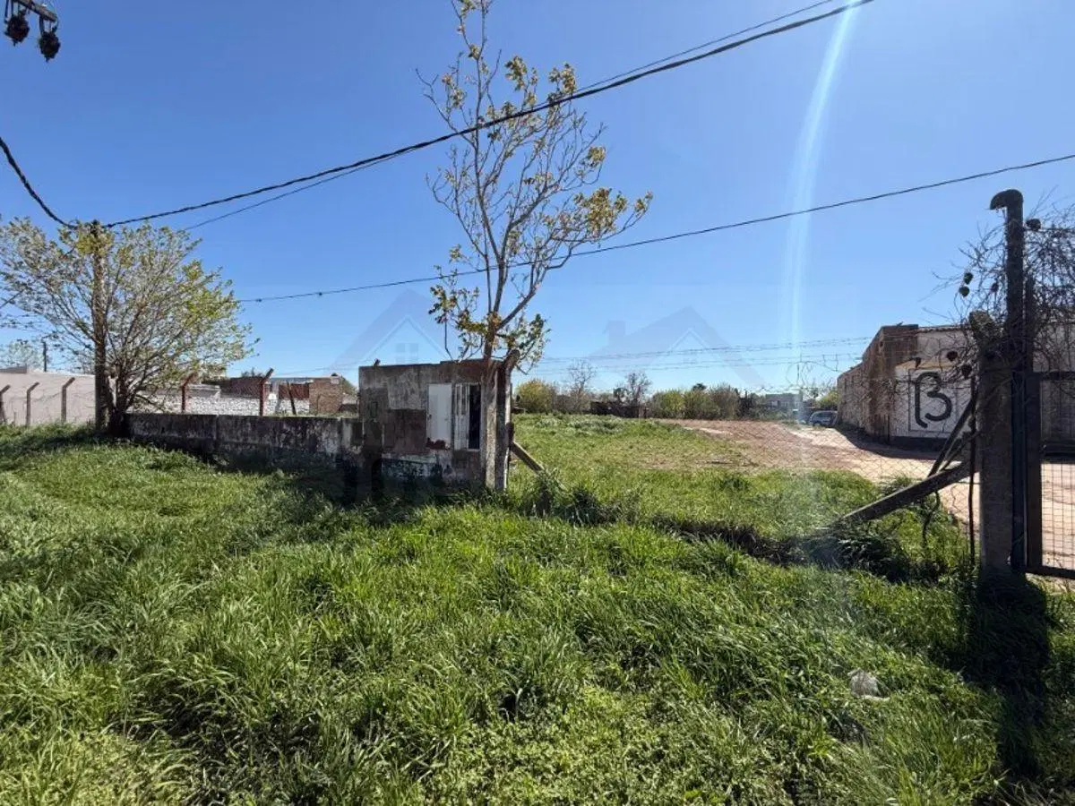 Lote de 216 m2 sobre Avenida Italia e/ Calle Soloeta y Soler – General Belgrano. Zona Comercial. 5