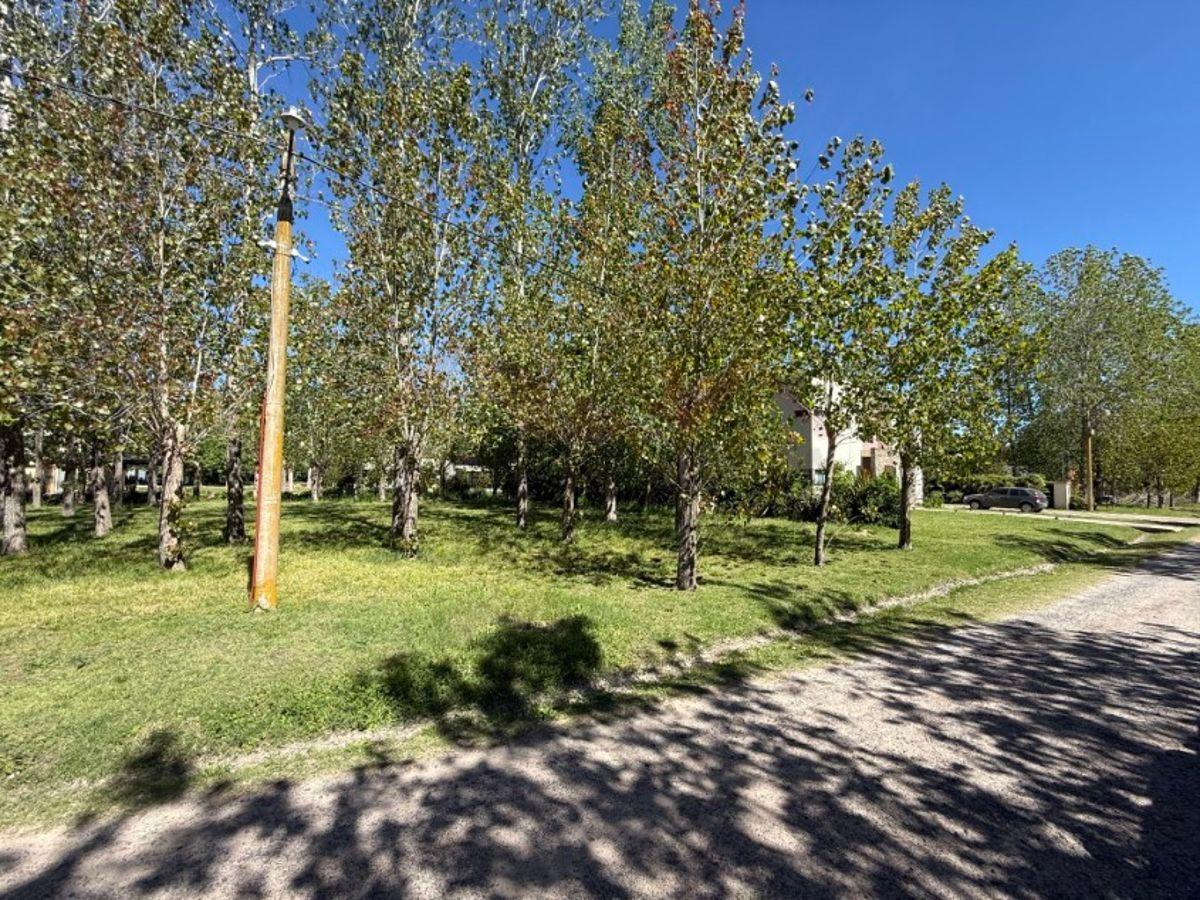 Foto de Lote de 959 m2. -Barrio Cerrado “Leufu Kiñe”, Termas del Salado, imagen 2