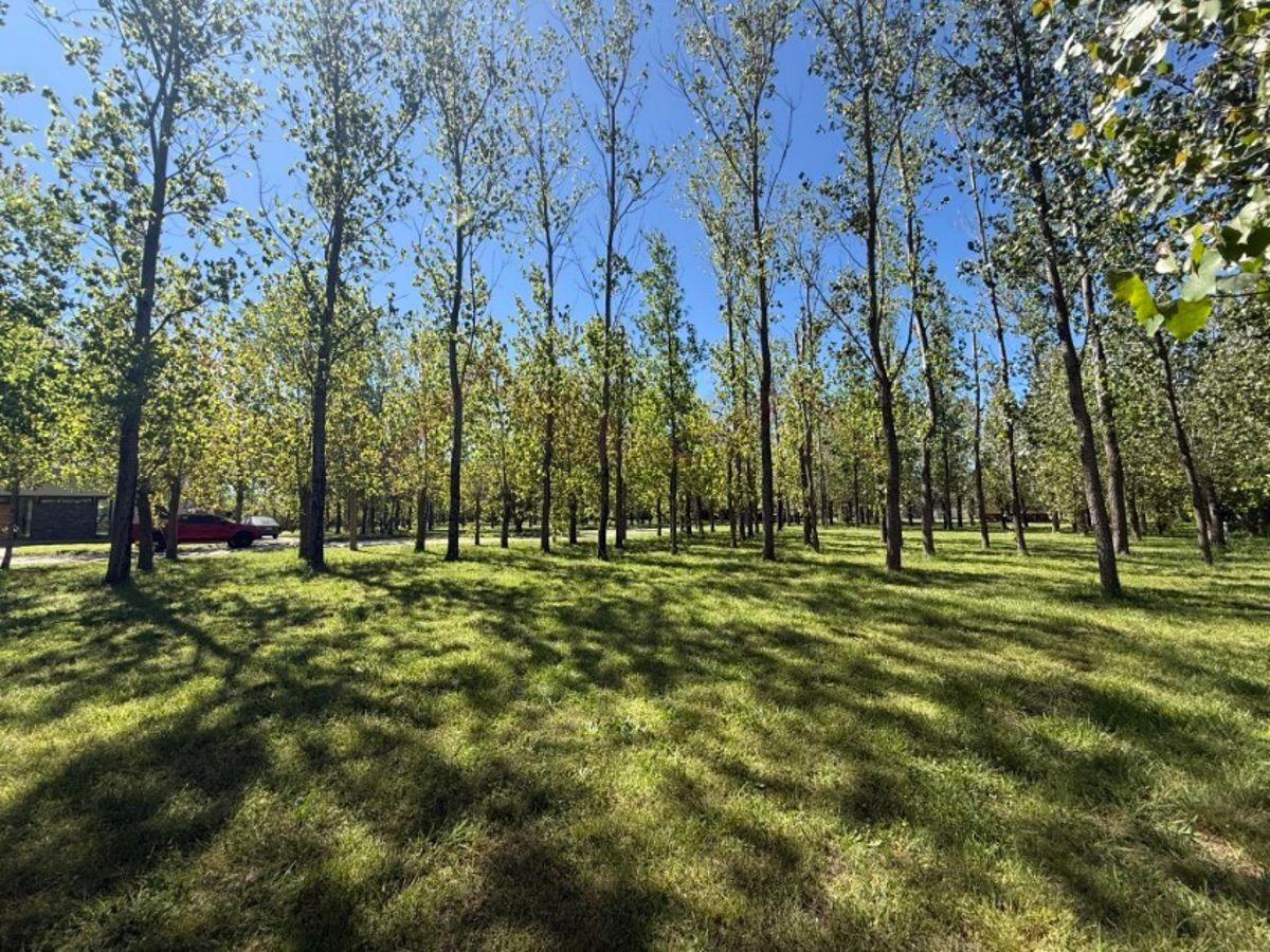 Foto de Lote de 959 m2. -Barrio Cerrado “Leufu Kiñe”, Termas del Salado, imagen 3