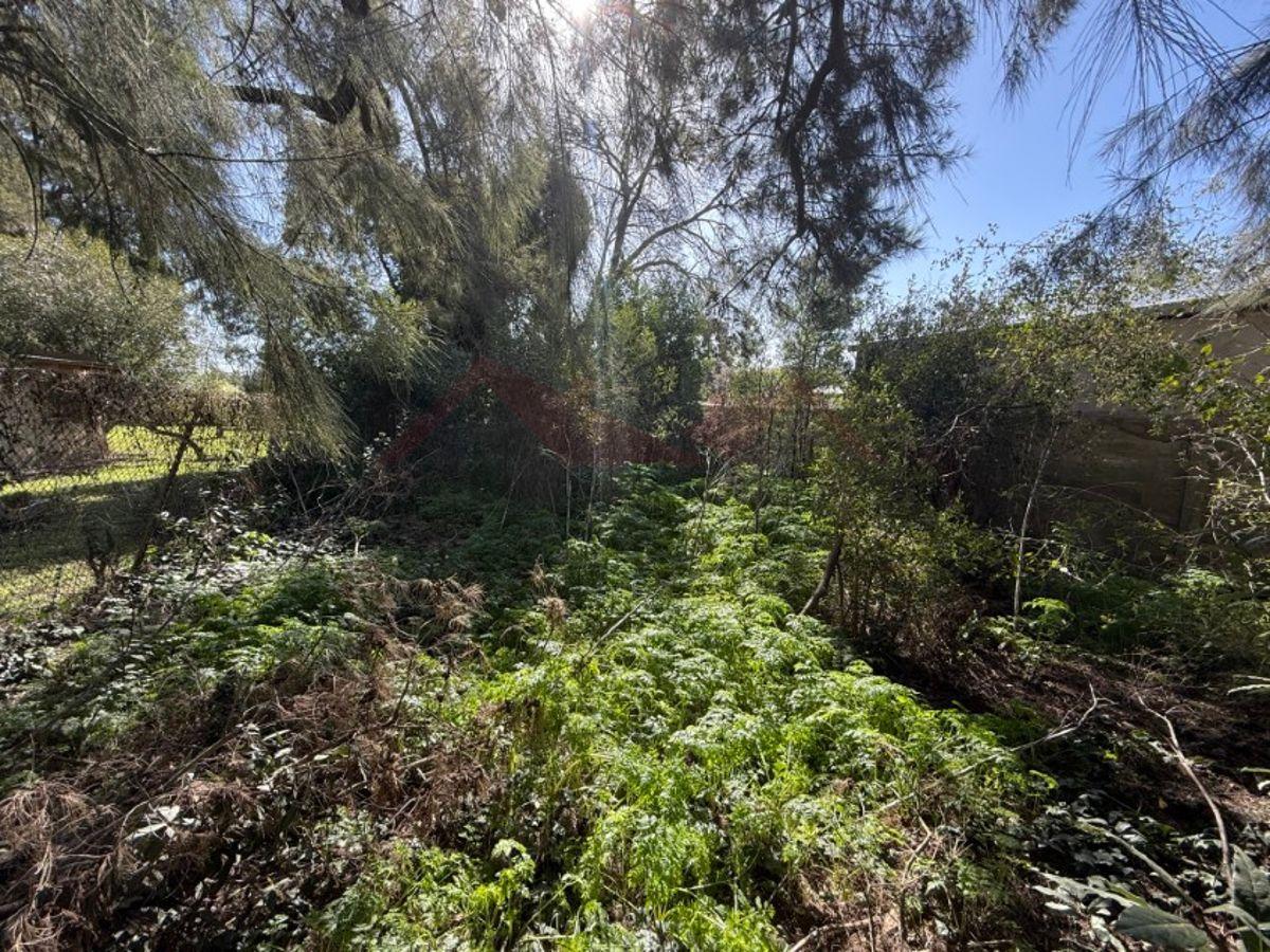 Foto de Lote de 10 x 20 (200 m2) - Calle 129 e/ 52 y 54, Barrio Parque, imagen 2