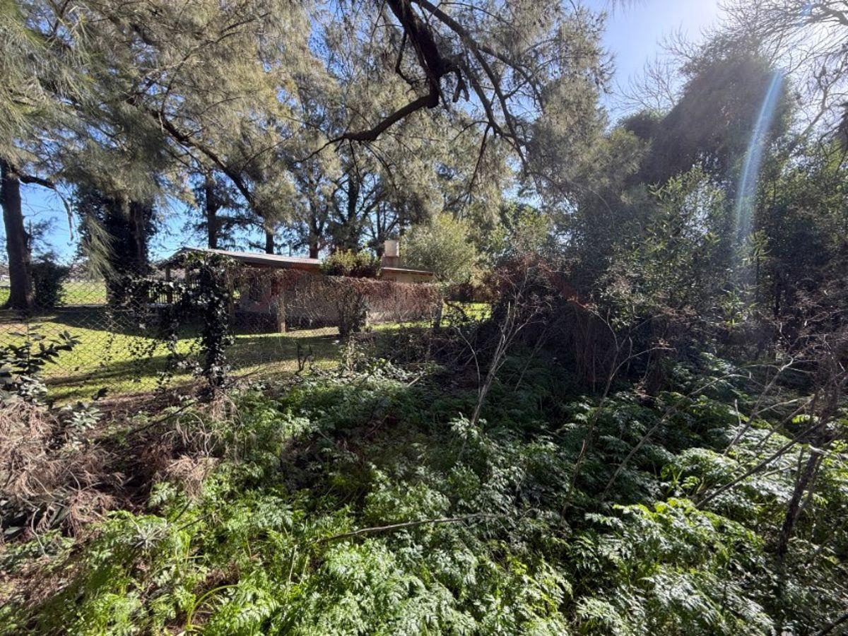 Foto de Lote de 10 x 20 (200 m2) - Calle 129 e/ 52 y 54, Barrio Parque, imagen 4