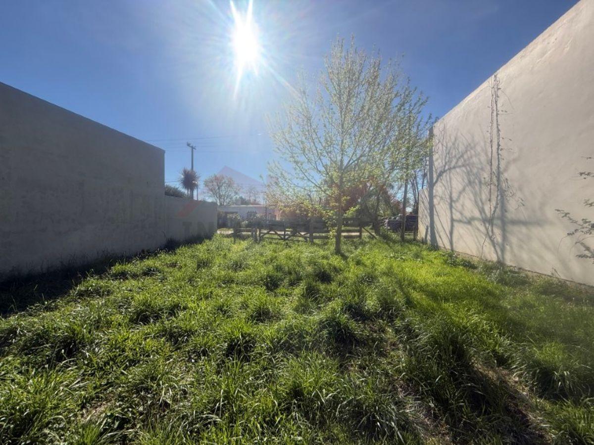 Foto de Lote de 12 x 29,57 (355 m2) - Calle Las Tropas e/ 30 y 32 – General, imagen 4