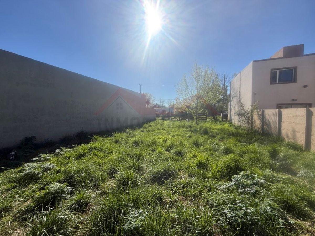 Foto de Lote de 12 x 29,57 (355 m2) - Calle Las Tropas e/ 30 y 32 – General, imagen 3