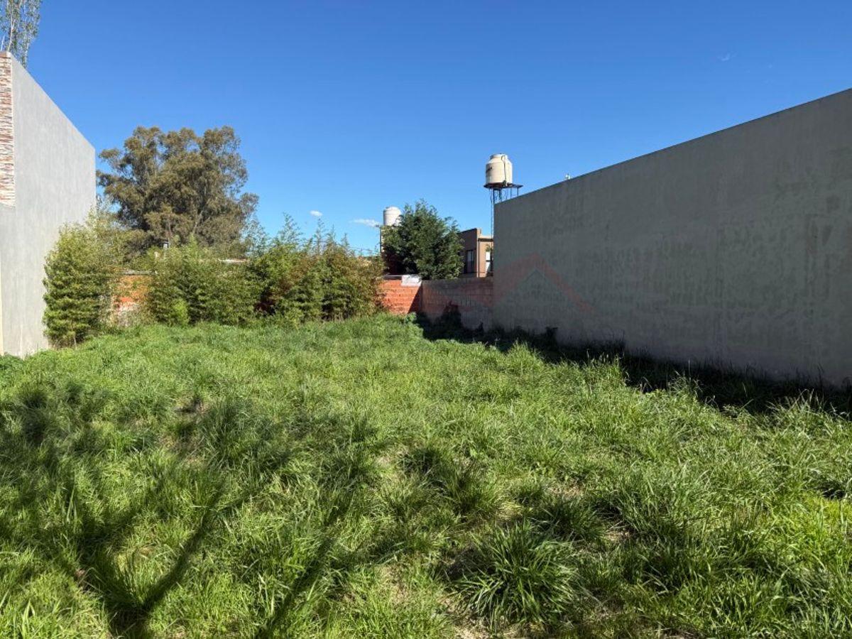 Foto de Lote de 12 x 29,57 (355 m2) - Calle Las Tropas e/ 30 y 32 – General, imagen 2