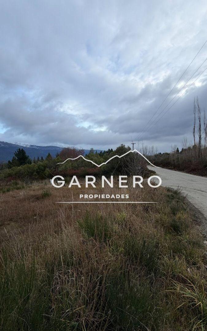 Foto de Terreno de 1000 m² en venta en Golondrinas, imagen 2