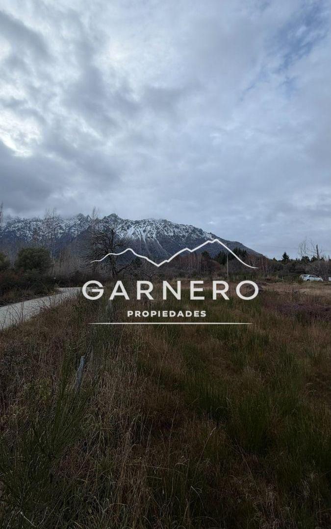 Foto de Terreno de 1000 m² en venta en Golondrinas, imagen 3