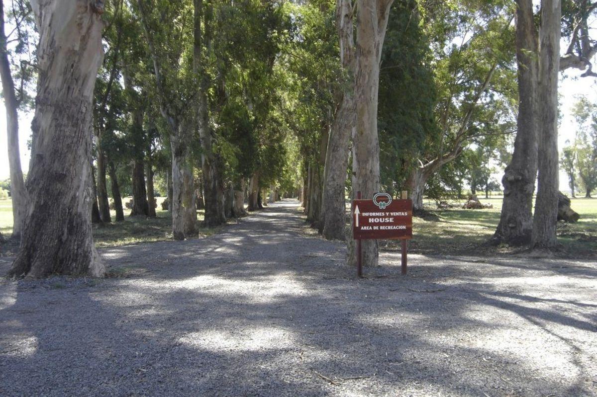 Foto de CASA EN VENTA 4 AMBIENTES A TERMINAR – CAMPO DAROMY – SAN VICENTE, imagen 2