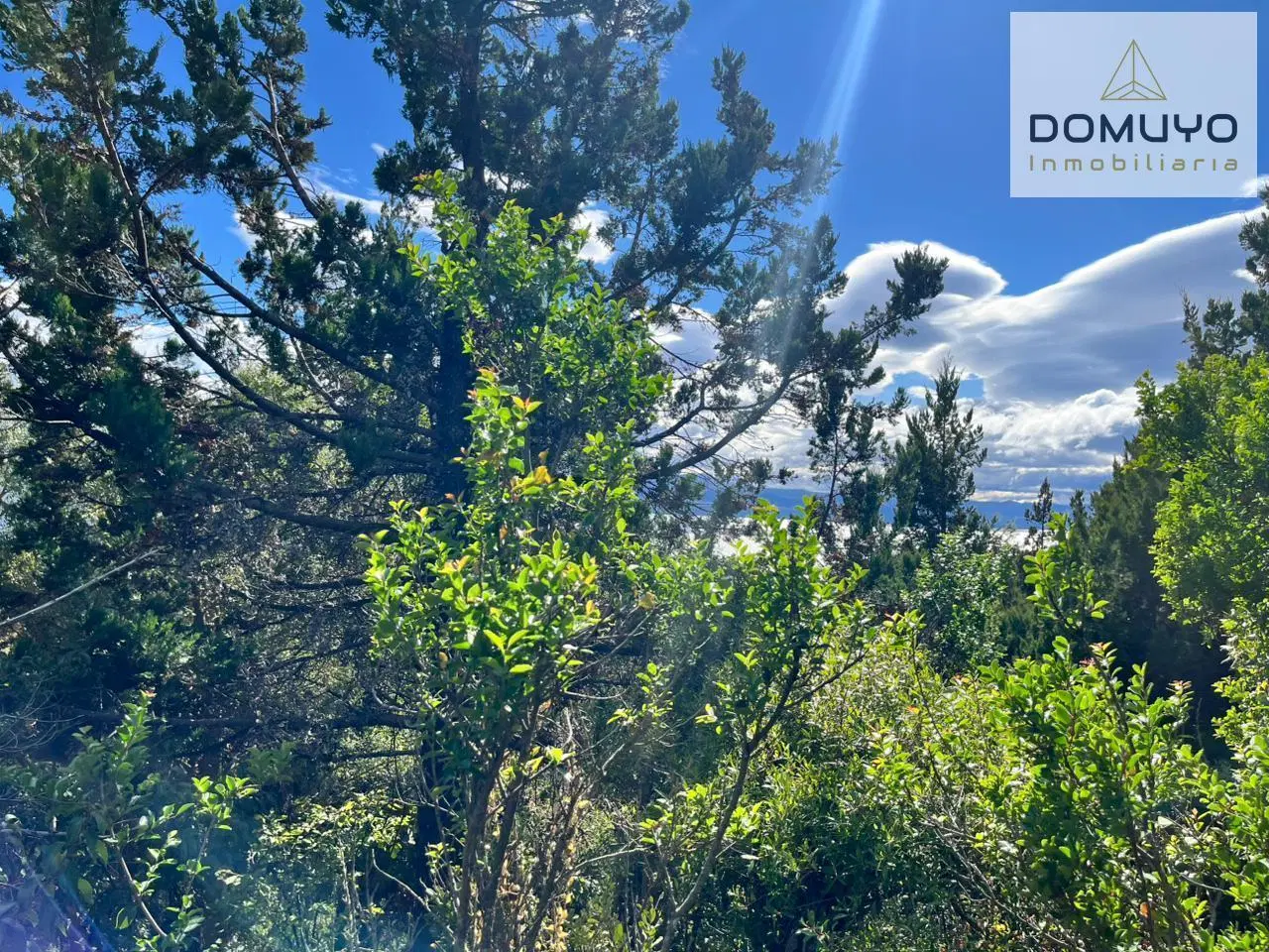 LOTE EXCLUSIVO EN BARILOCHE-LADERA CERRO OTTO. 5