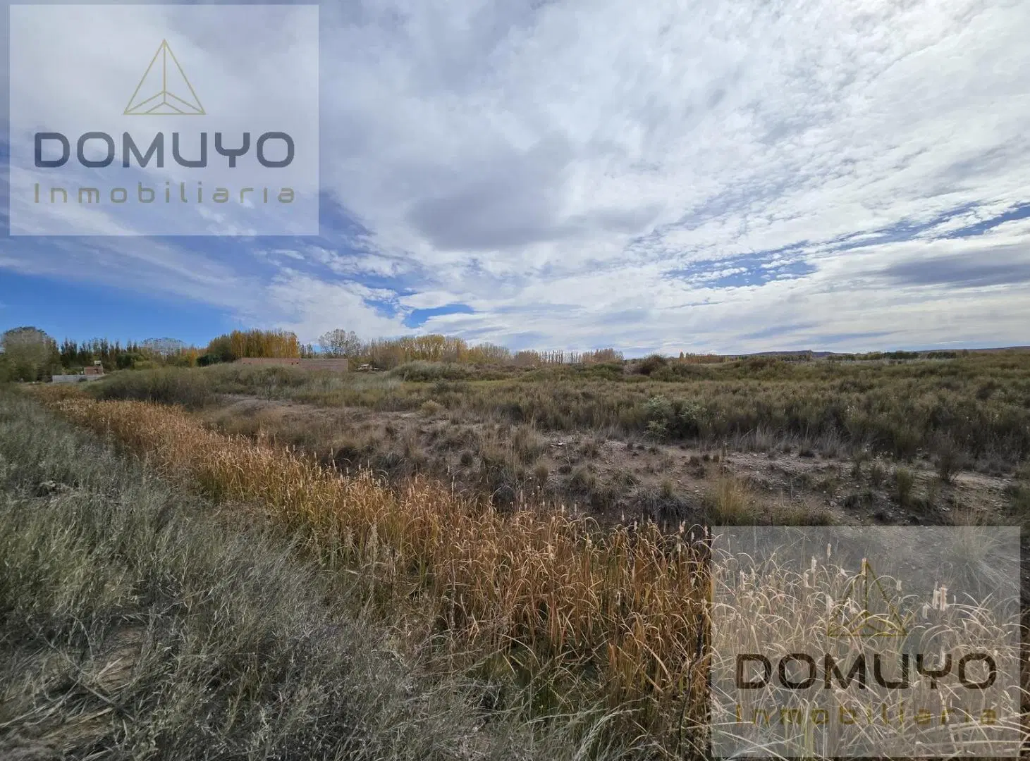 En Venta, Hectareas en Plottier Frente a Ex Ruta 22 5