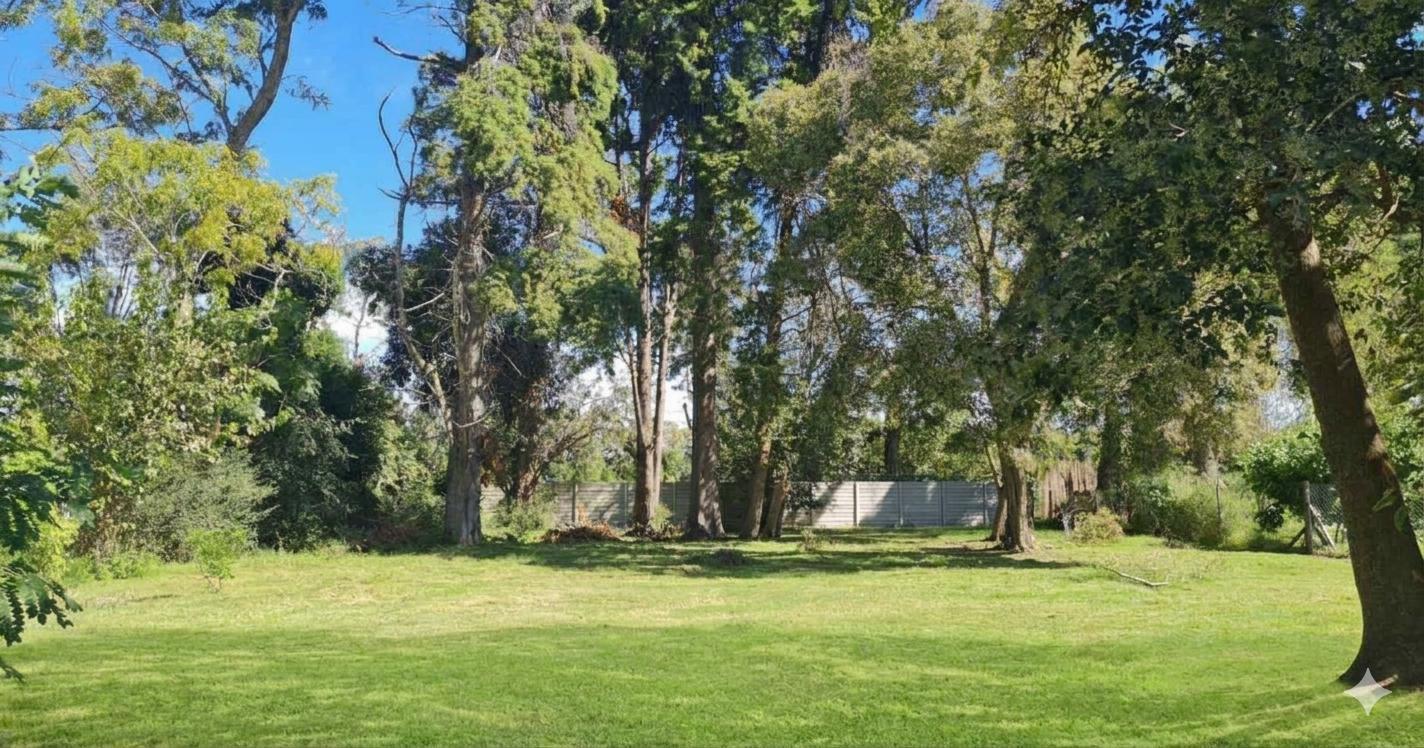 Foto de Lote en San Matias, imagen 1