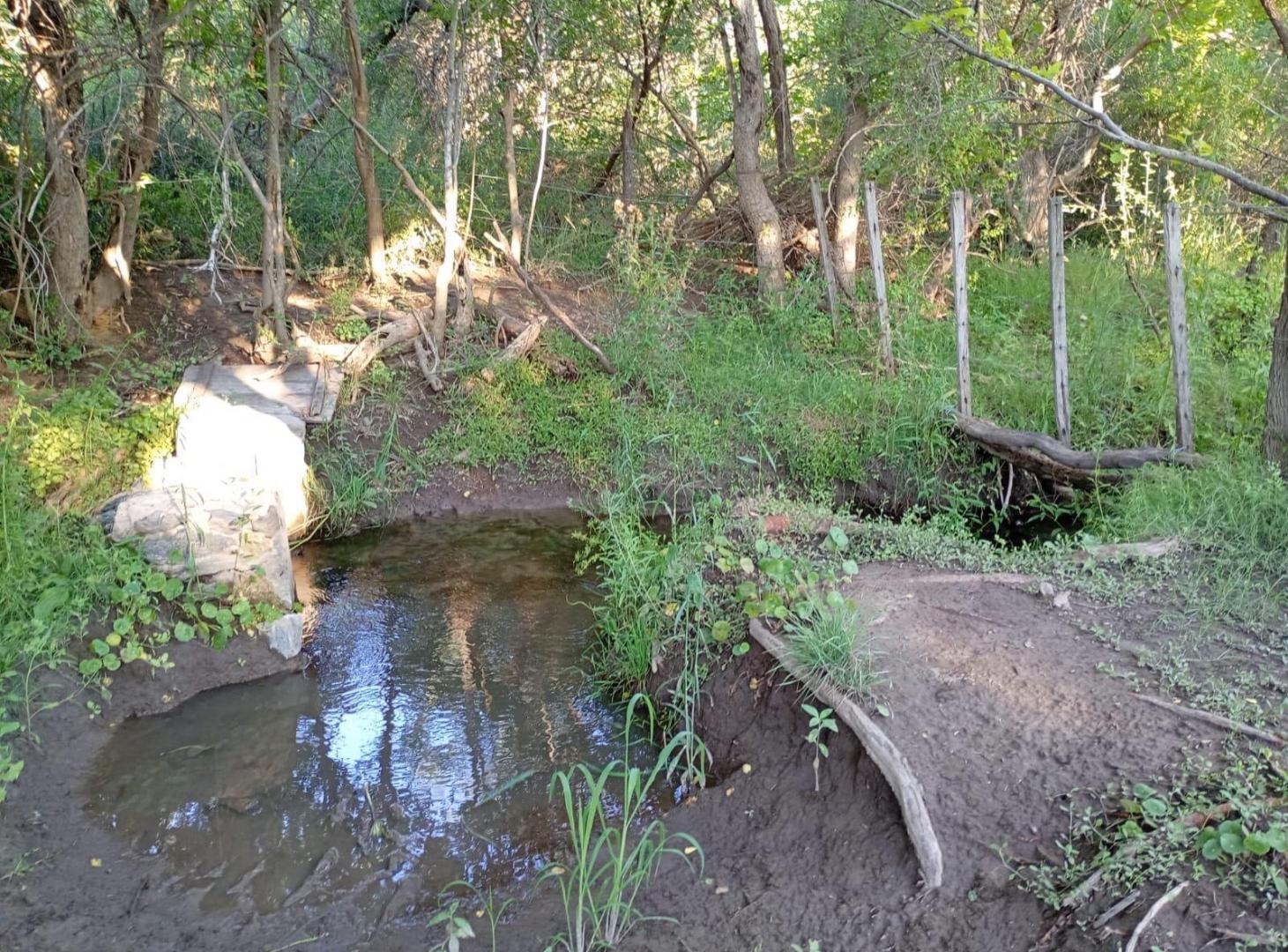 Foto de Lote/Campo en Los Romeros, imagen 2