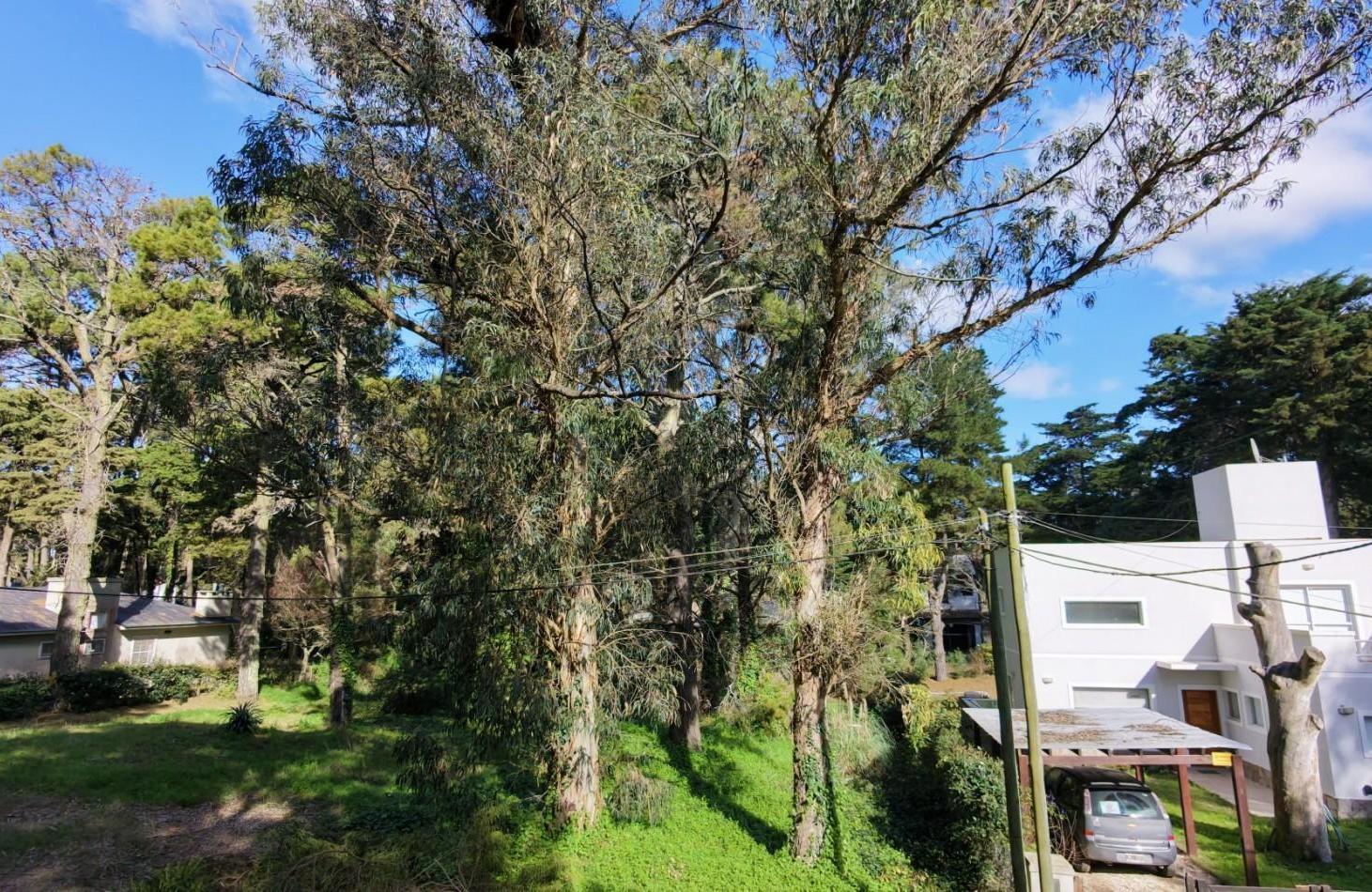 Foto de lote en valeria del mar, imagen 1