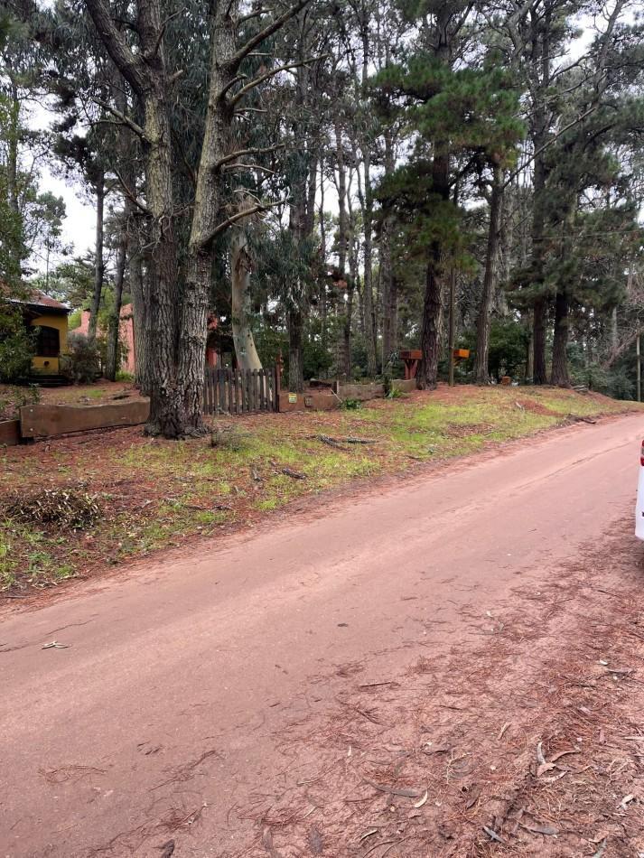 Foto de lote en valeria del mar, imagen 5