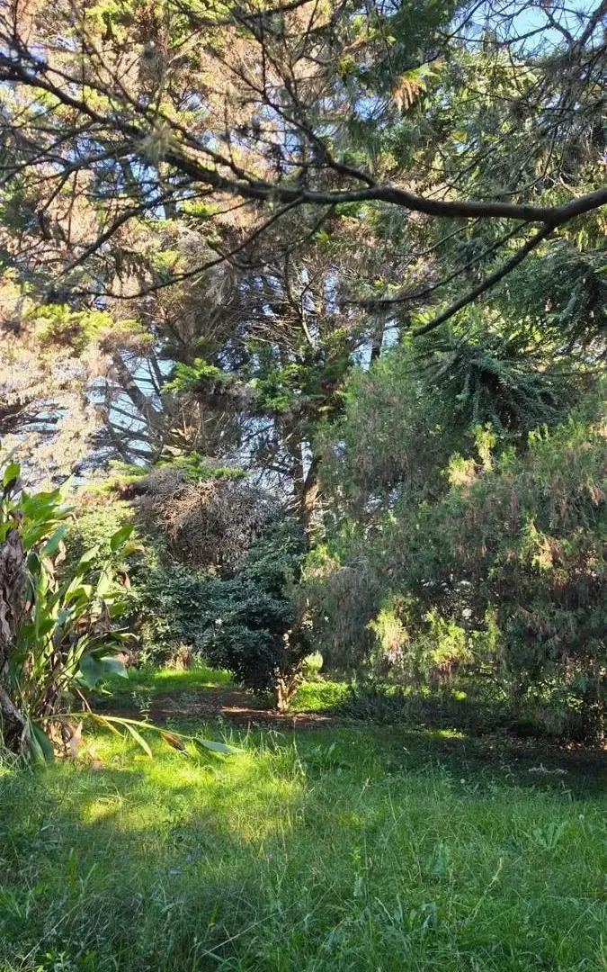 Lote En Venta Con Financiación Barrio Pinares Del Pato - El Pato, Berazategui 5