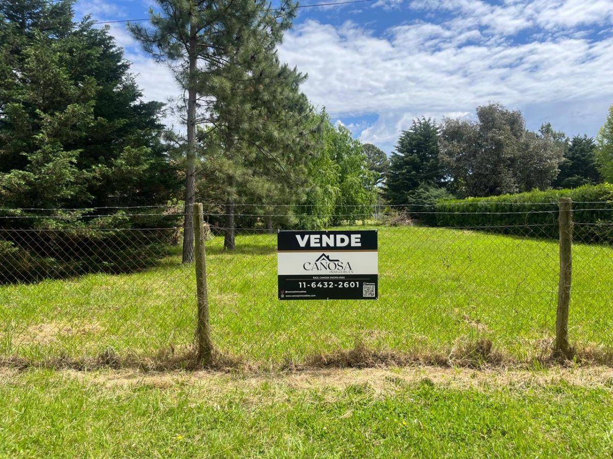 Foto de Terreno de 1000 m² en venta en Barrio Parque Exaltación De La Cruz, imagen 4