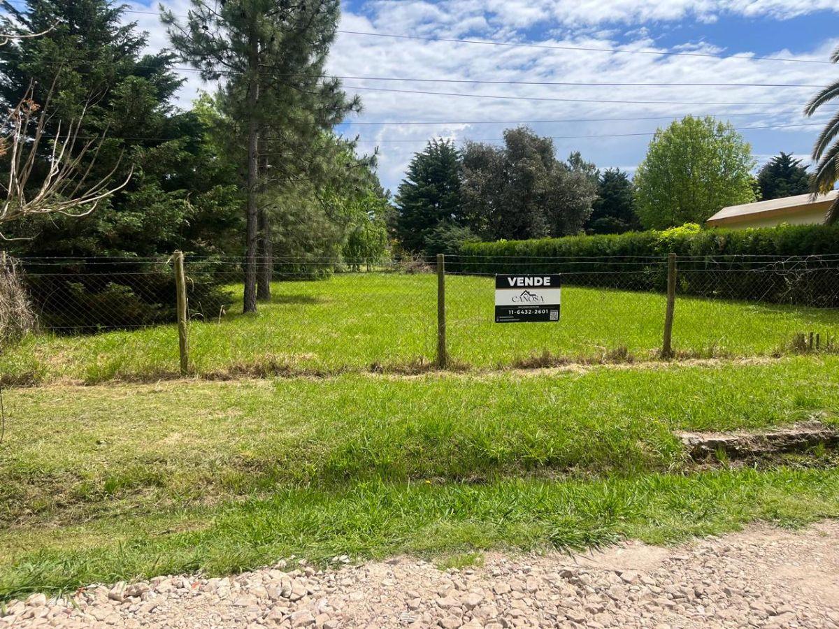 Foto de Terreno de 1000 m² en venta en Barrio Parque Exaltación De La Cruz, imagen 3