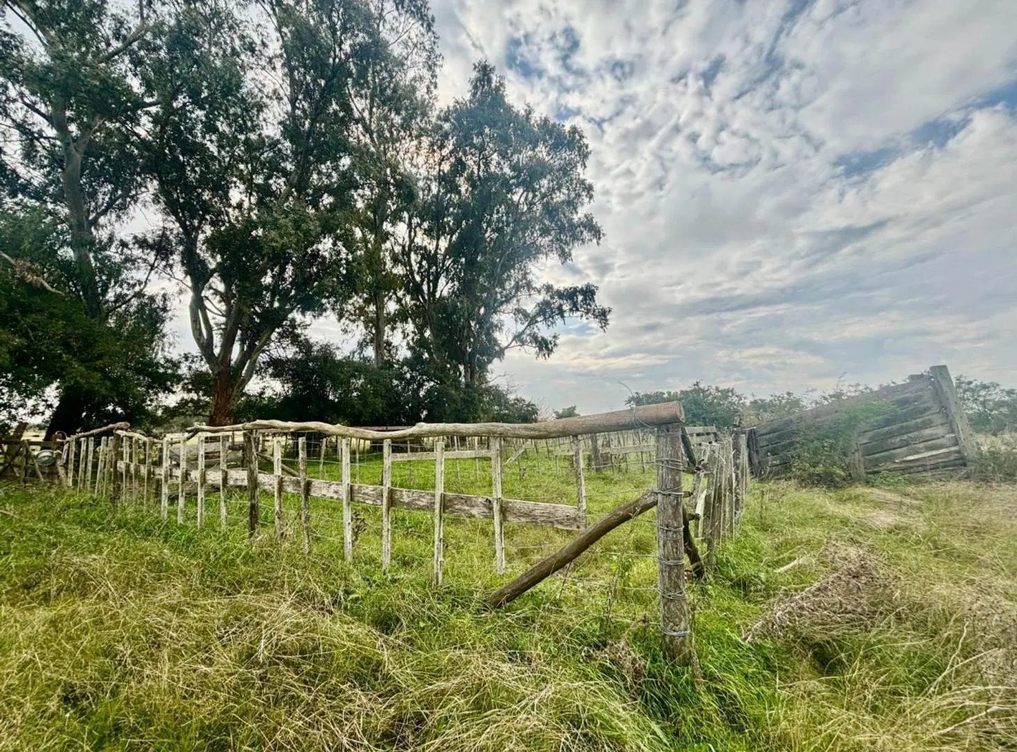35 Has Agrícolas – Ganaderas en Magdalena 8