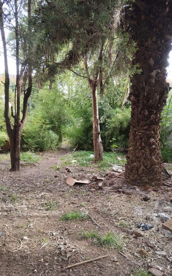 Foto de LOTE EN VENTA 312 M2 TRISTAN SUÁREZ, imagen 3
