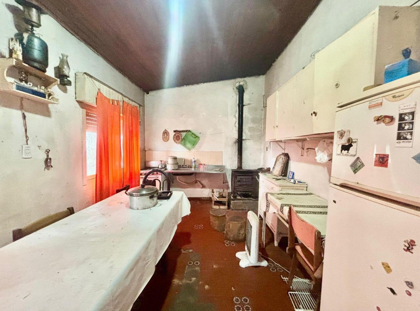 Foto de 35 Has Agrícolas – Ganaderas en Magdalena BS AS, imagen 4
