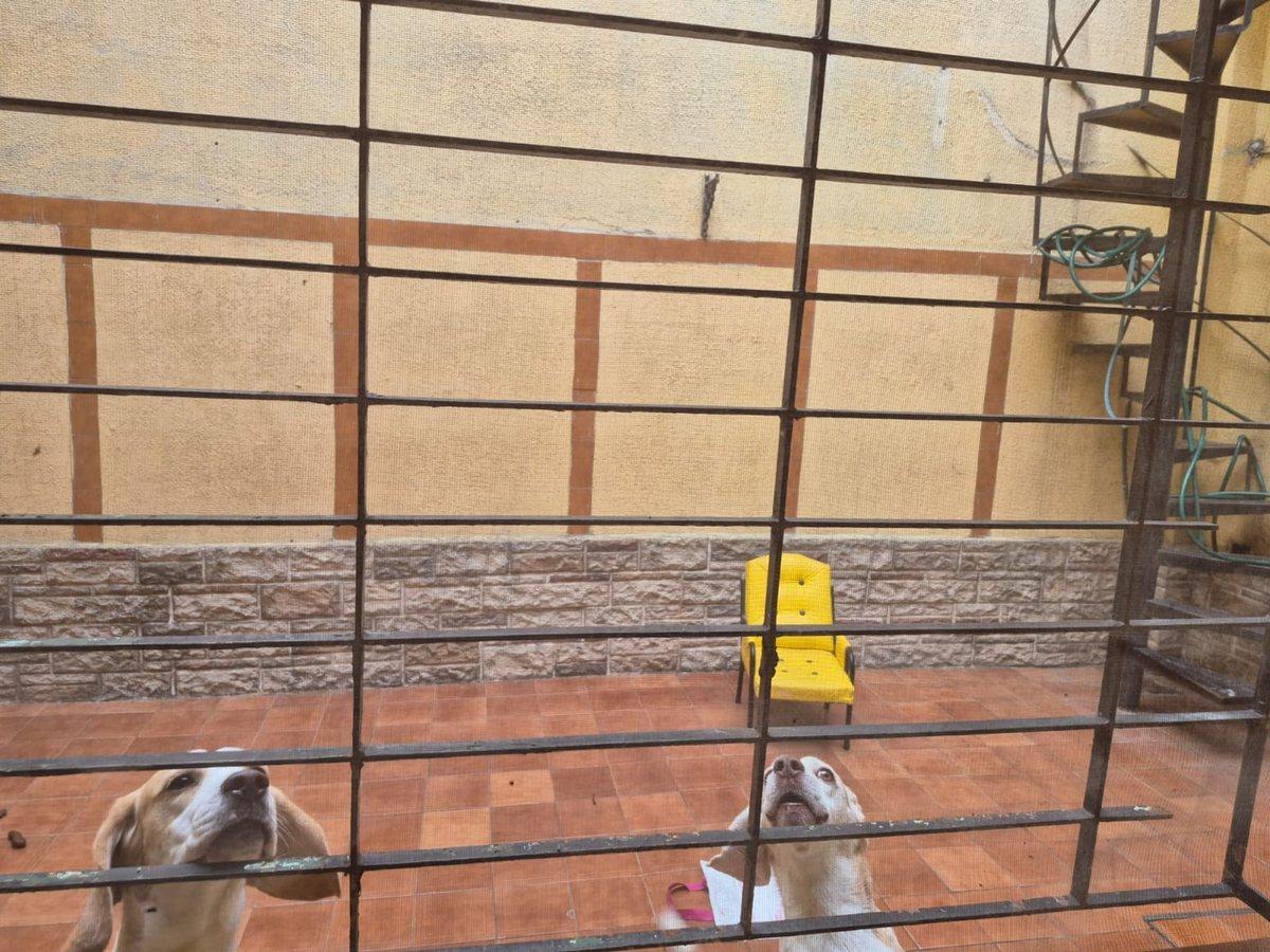 Foto de CASA 3 AMB. EN LOTE PROPIO C/ TERRAZA LANUS OESTE., imagen 5