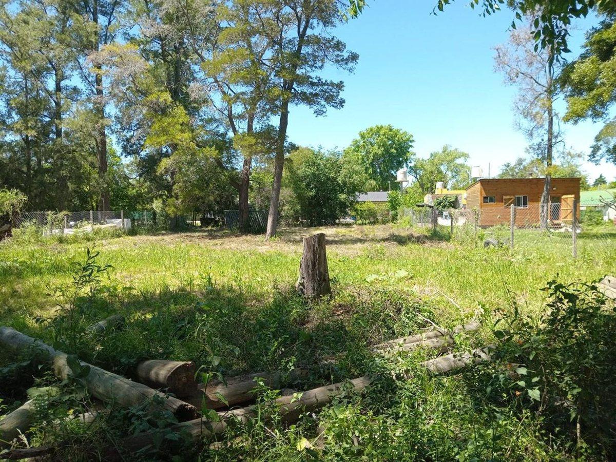 Foto de LOTE DE 1000M2 EN VENTA EN EL CAZADOR B.DE ESCOBAR, imagen 3