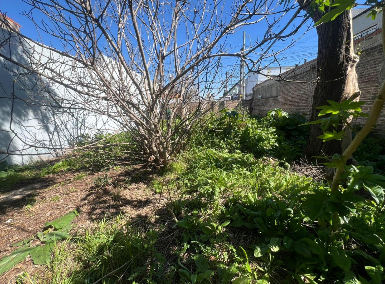 Foto de Venta de Lote en Temperley, imagen 4