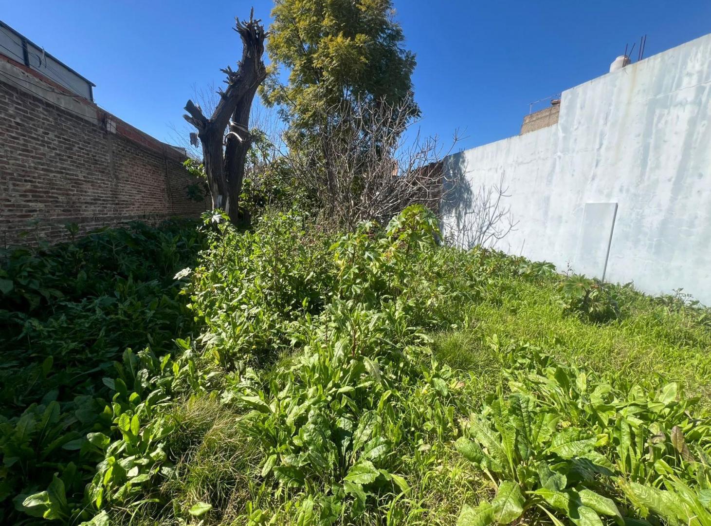 Foto de Venta de Lote en Temperley, imagen 1