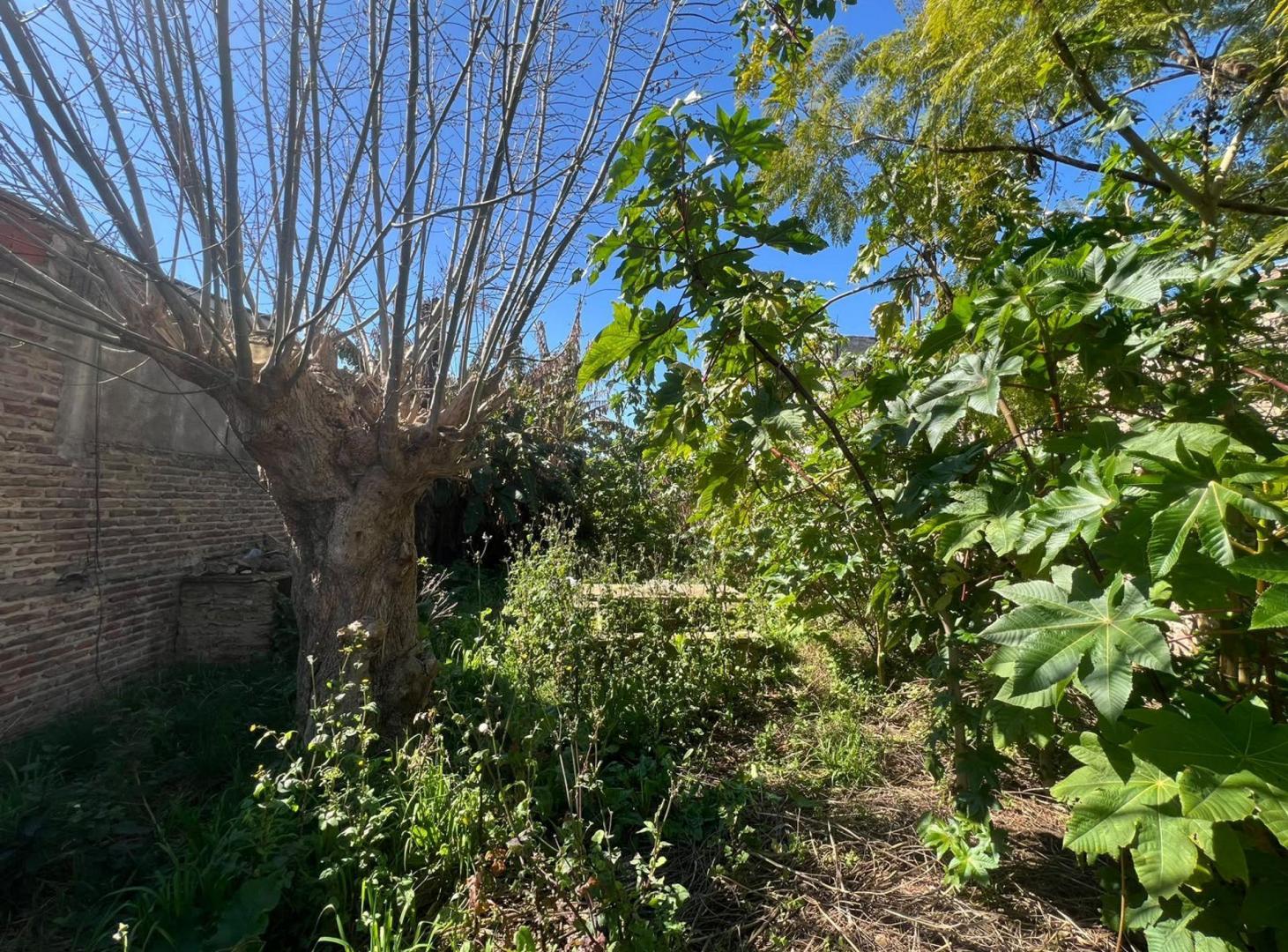 Foto de Venta de Lote en Temperley, imagen 5