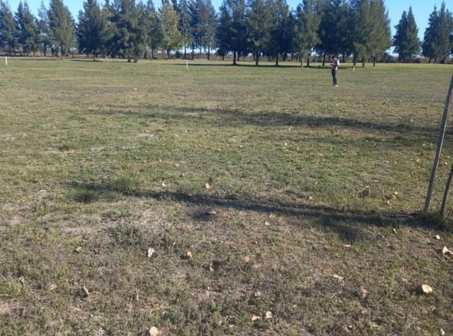 Foto de LOTE EN VENTA - PERMUTA - COUNTRY EN SAN VICENTE., imagen 4