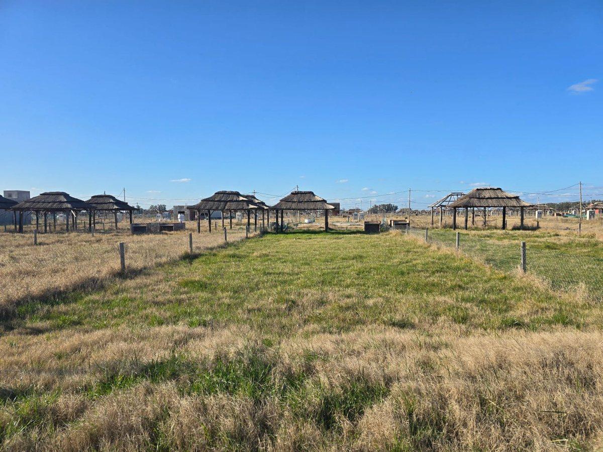 Foto de VENTA LOTE - BARRIO CERRADO Don Luis Yachting Club, imagen 5